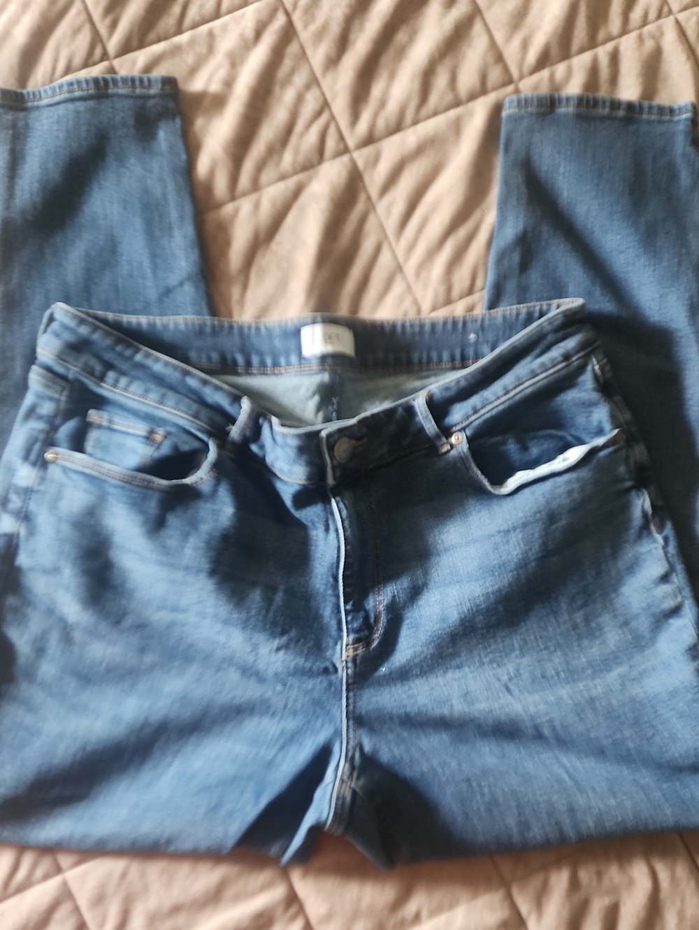 LOFT Light Blue Cropped Skinny Jeans